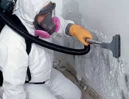 Trusted Kekoskee, WI Mold Removal & Remediation Experts